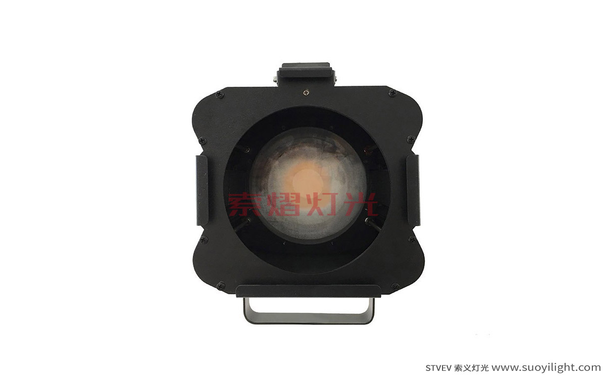 Arusha200W LED Thread Image Light