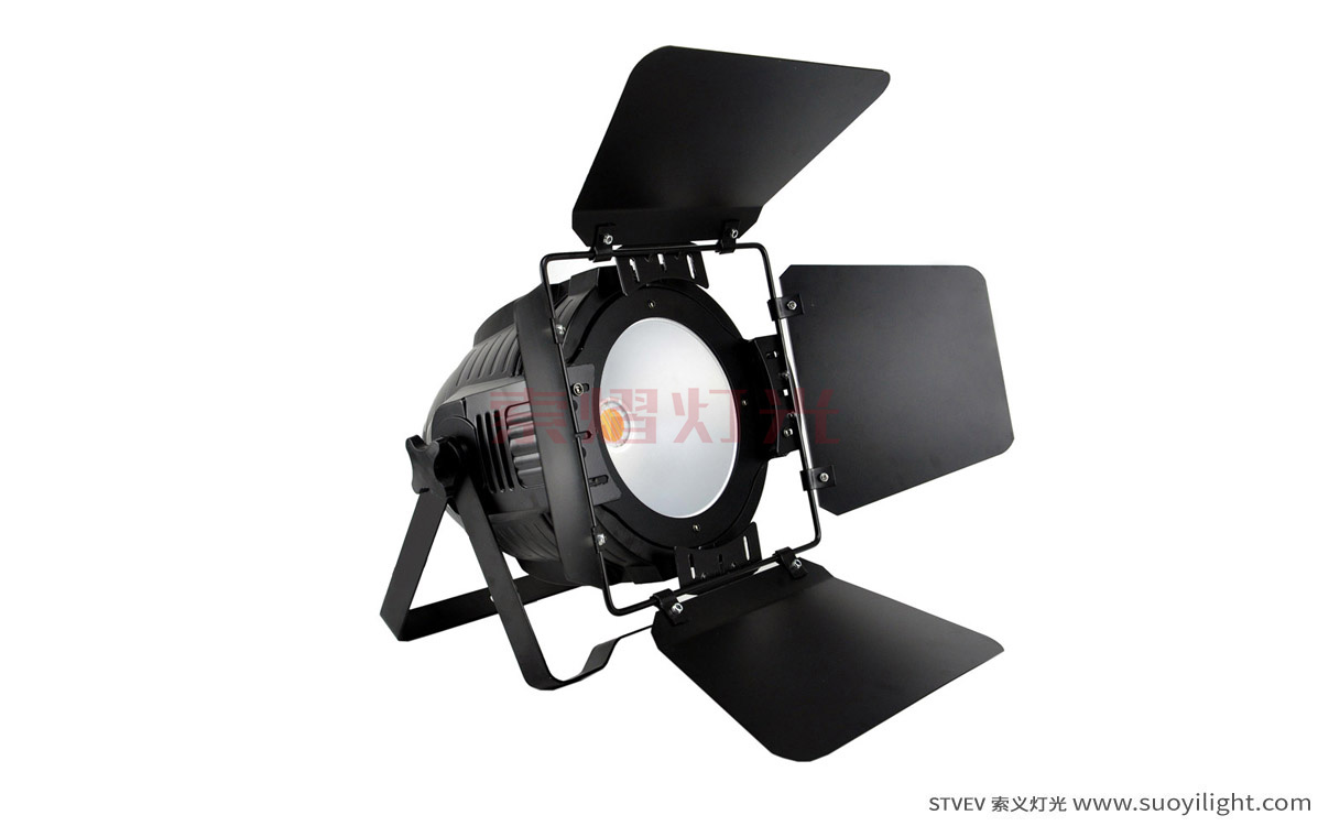 Arusha200W COB LED Par Light