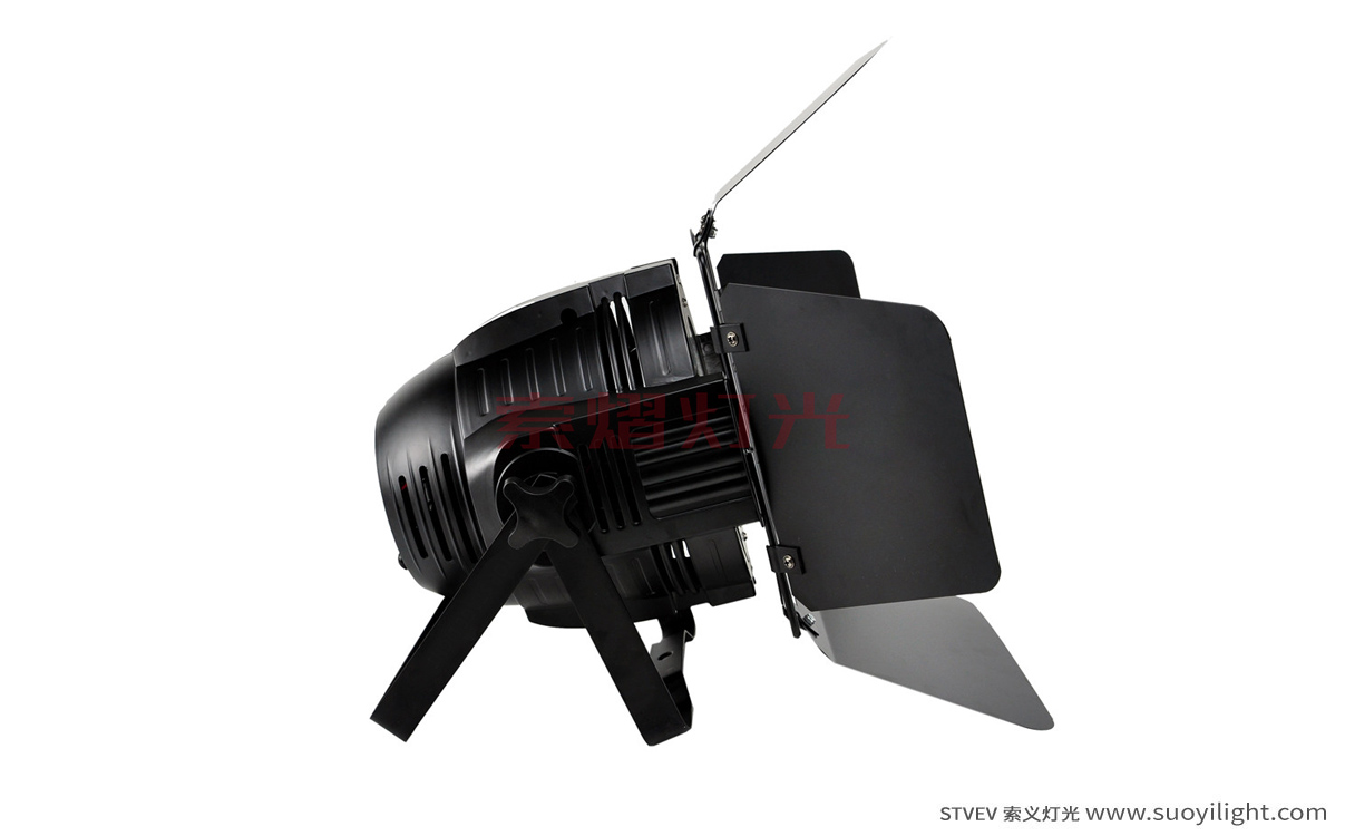 Arusha200W COB LED Par Light