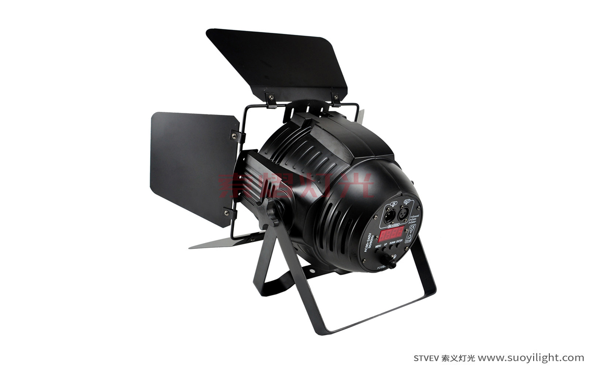 Arusha200W COB LED Par Light