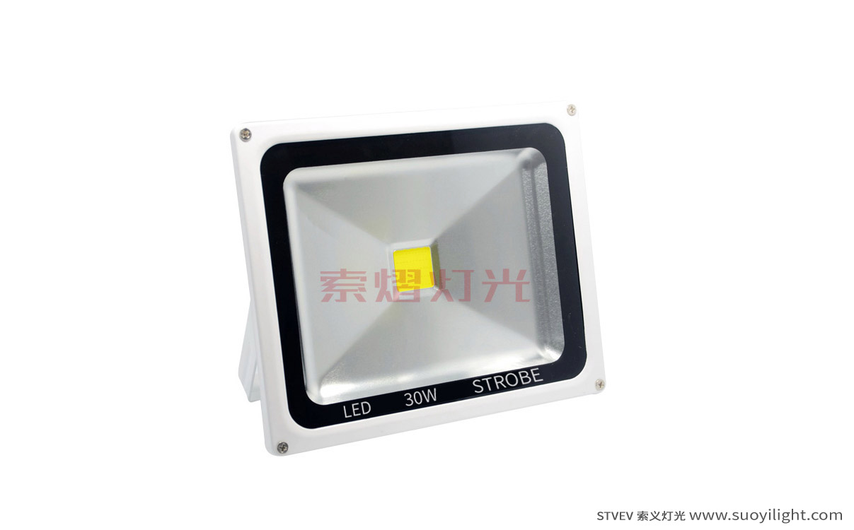 Arusha30W LED Strobe Light