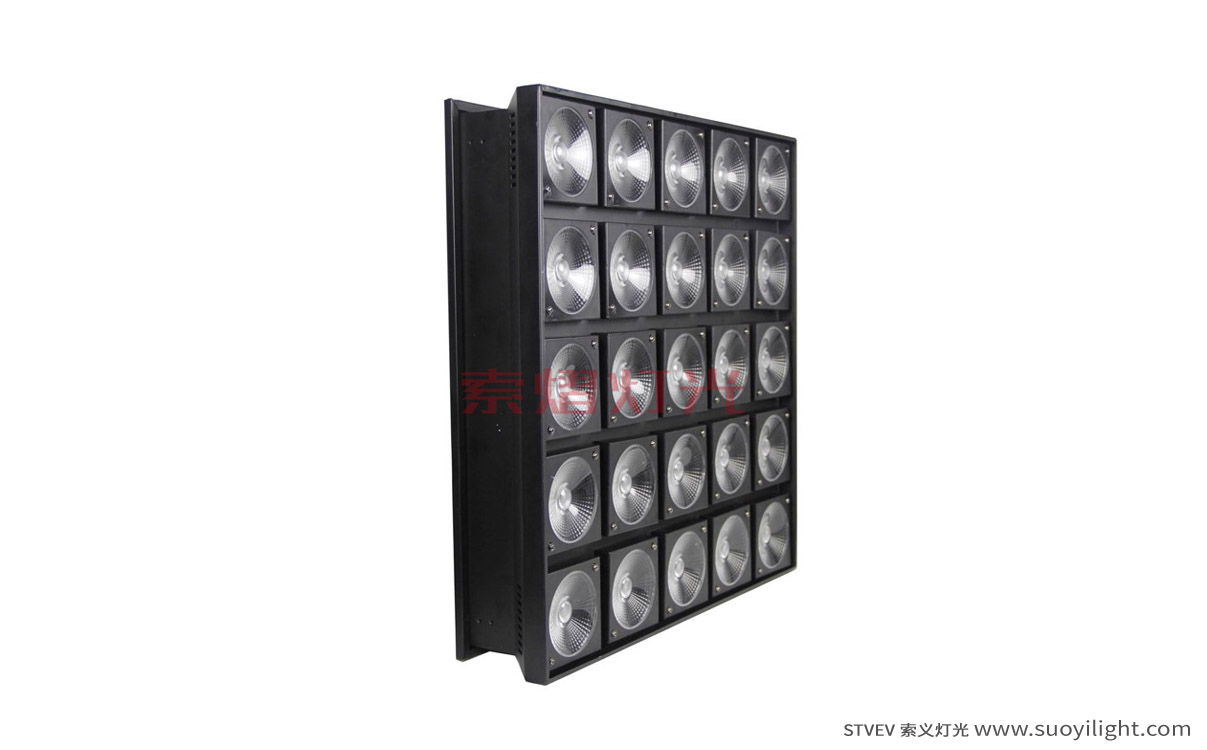Arusha25 Head LED Matrix Light