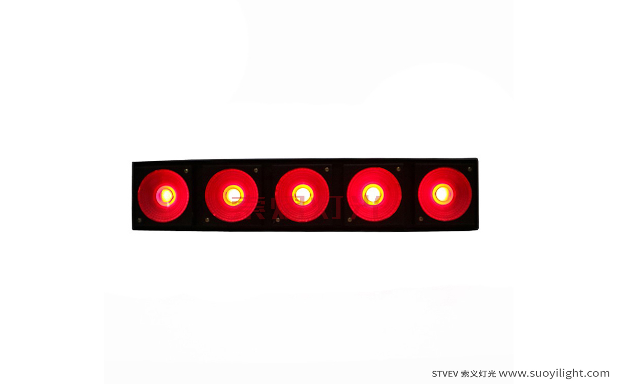 Arusha LED 5 Head Matrix Light