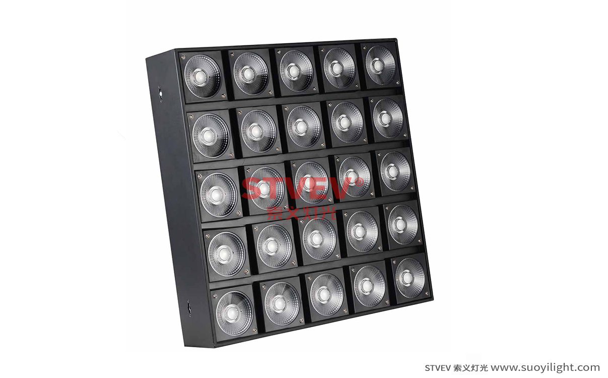 Arusha25 Head LED Matrix Light