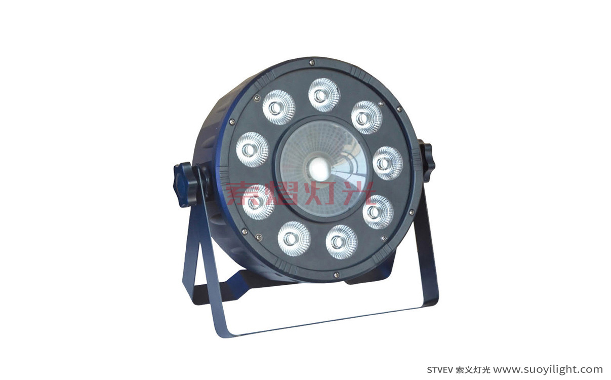 Arusha9+1 LED Plastic Par Light