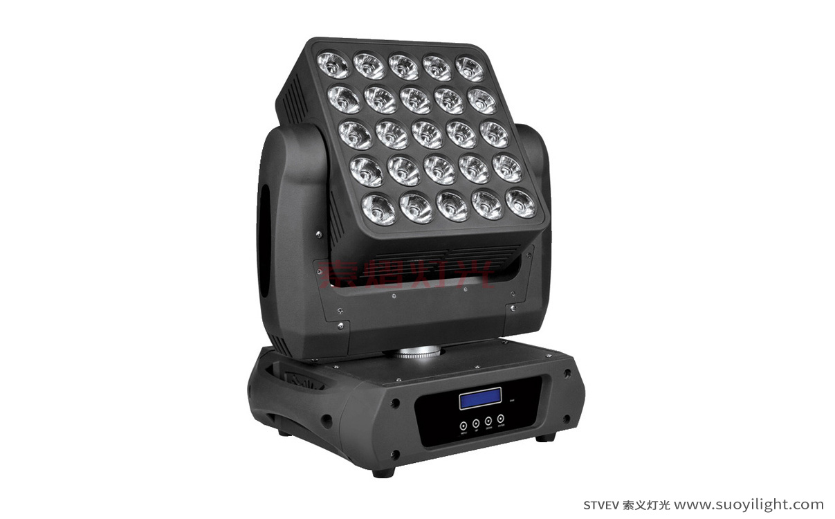 Arusha25pcs Matrix LED Light