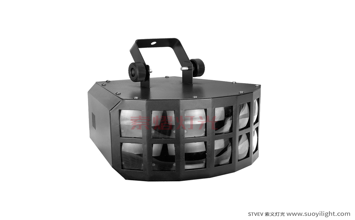 ArushaLED Double Butterfly Light