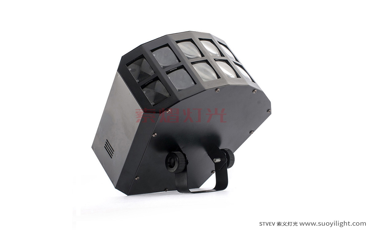 ArushaLED Double Butterfly Light