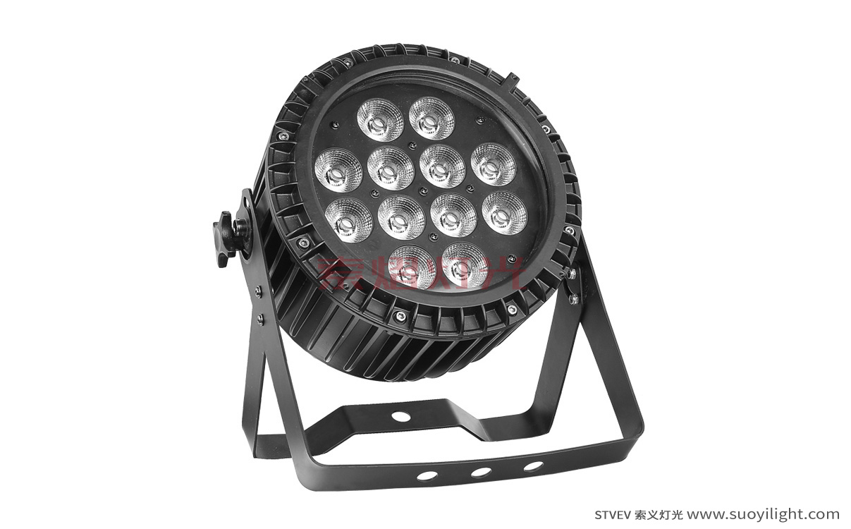 Arusha12*12W 6 in 1 Waterproof LED Par Light