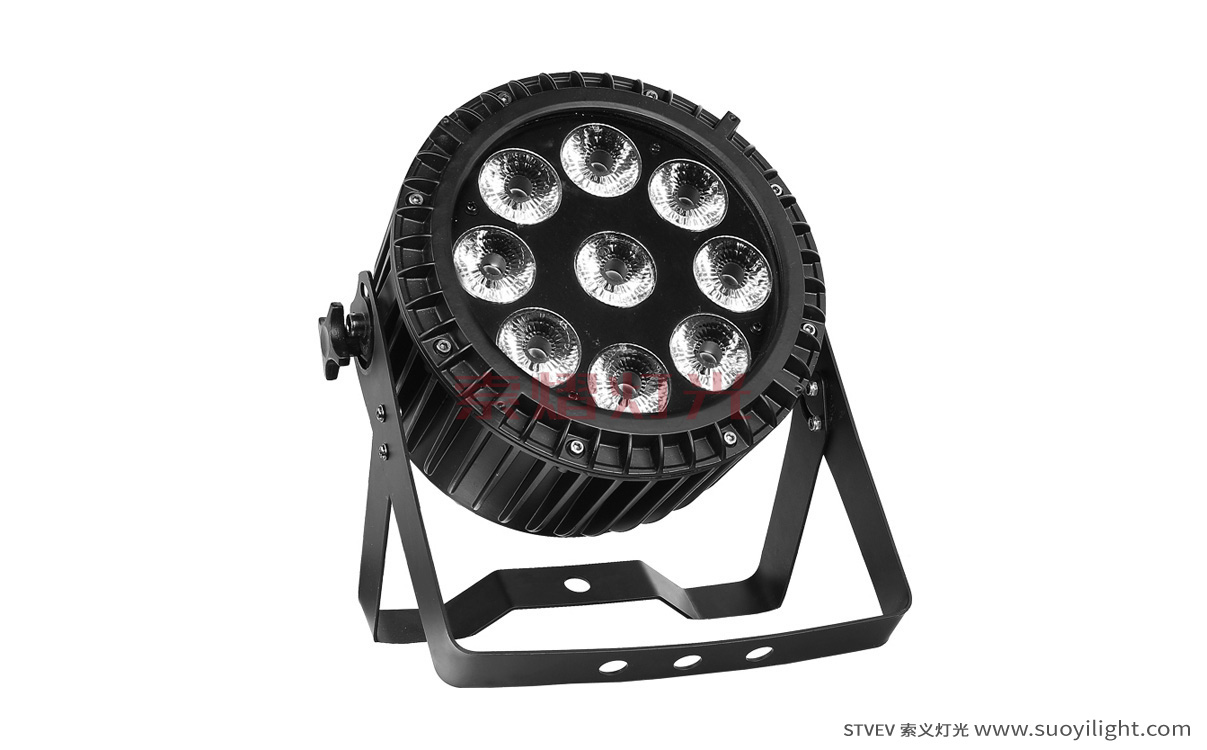 Arusha9*12W 4 in 1 Waterproof LED Par Light