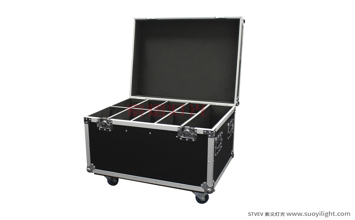 Arusha8in1 Par Light Flight Case