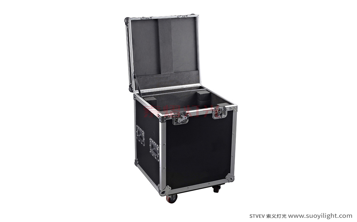 ArushaBeam Light Flight Case