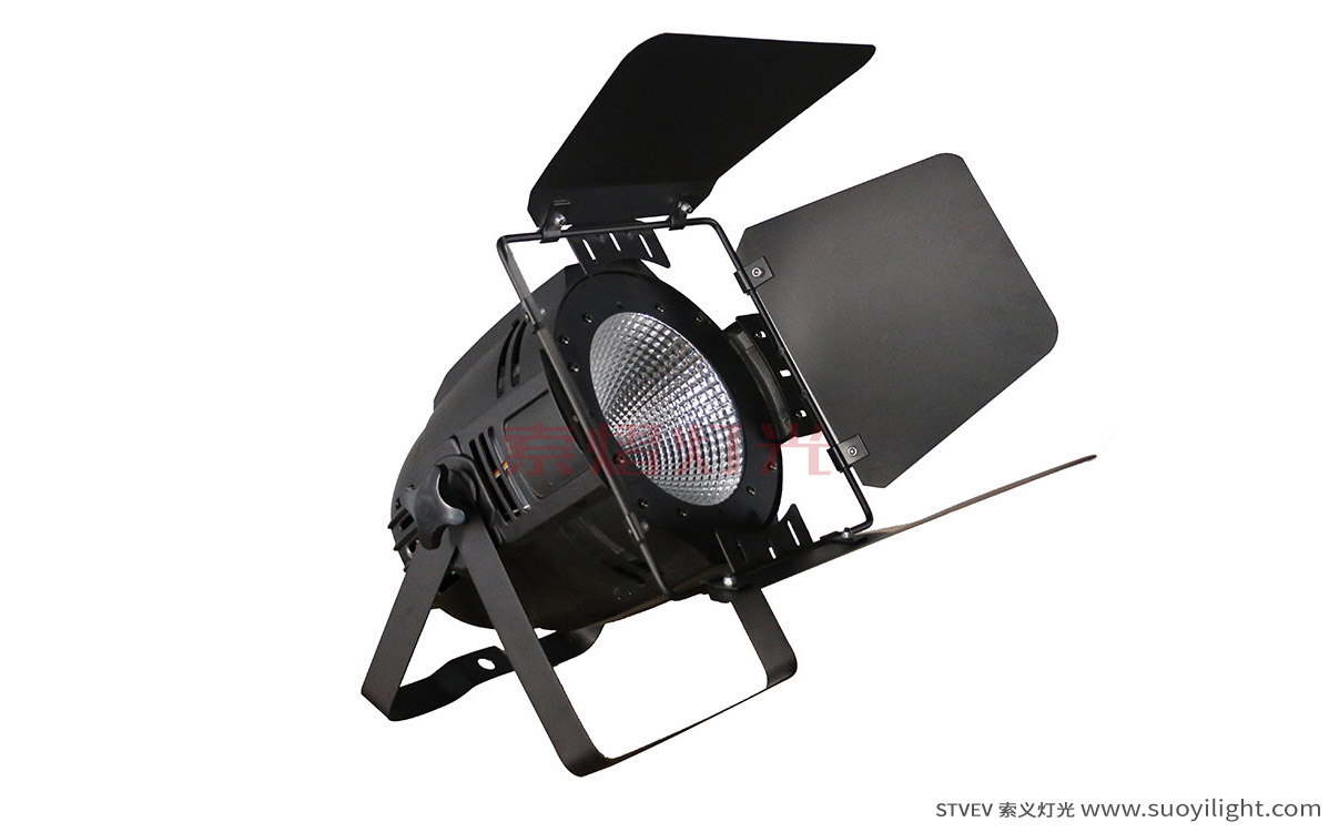 Arusha100W LED COB Par Light