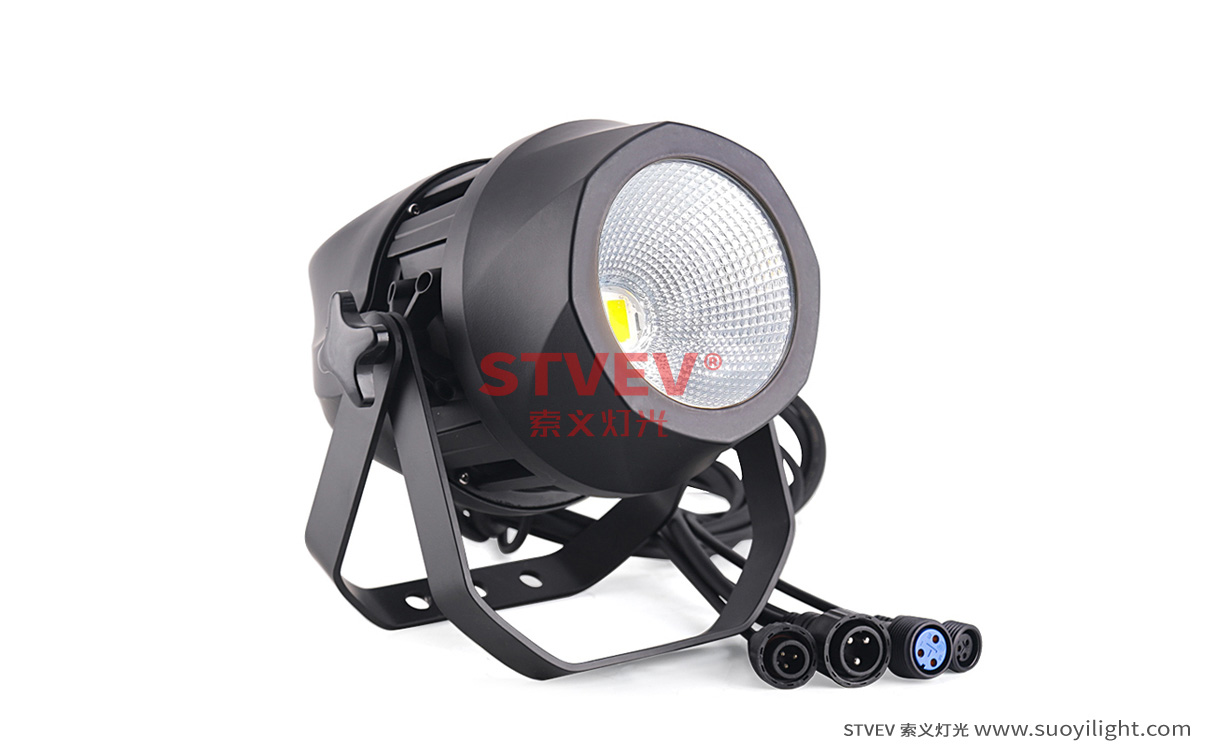 Arusha200W Waterproof COB Par Light