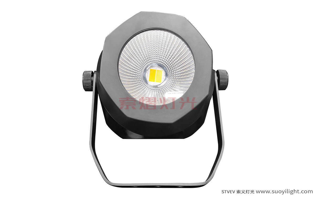 Arusha200W Waterproof COB Par Light