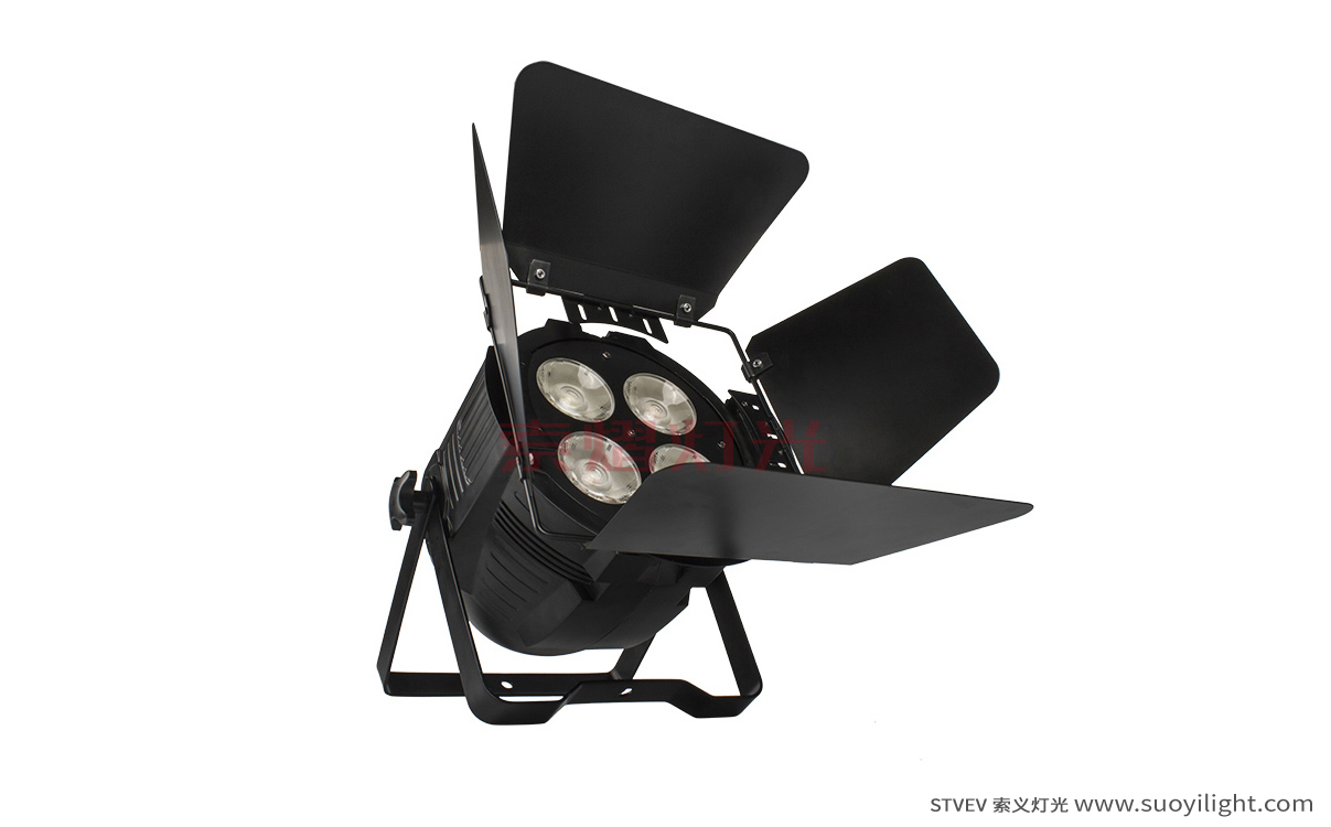 Arusha4 Eyes 200W COB Par Light