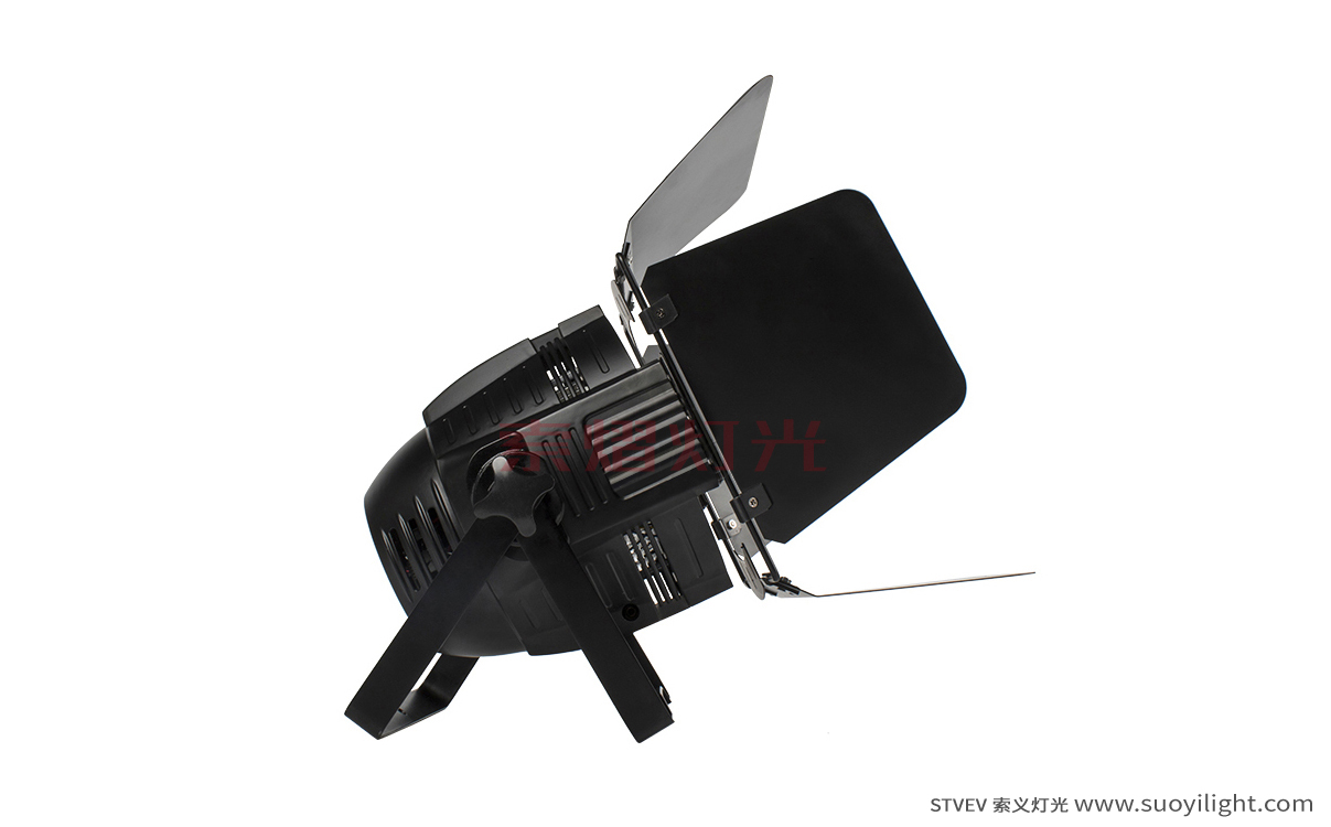 Arusha4 Eyes 200W COB Par Light