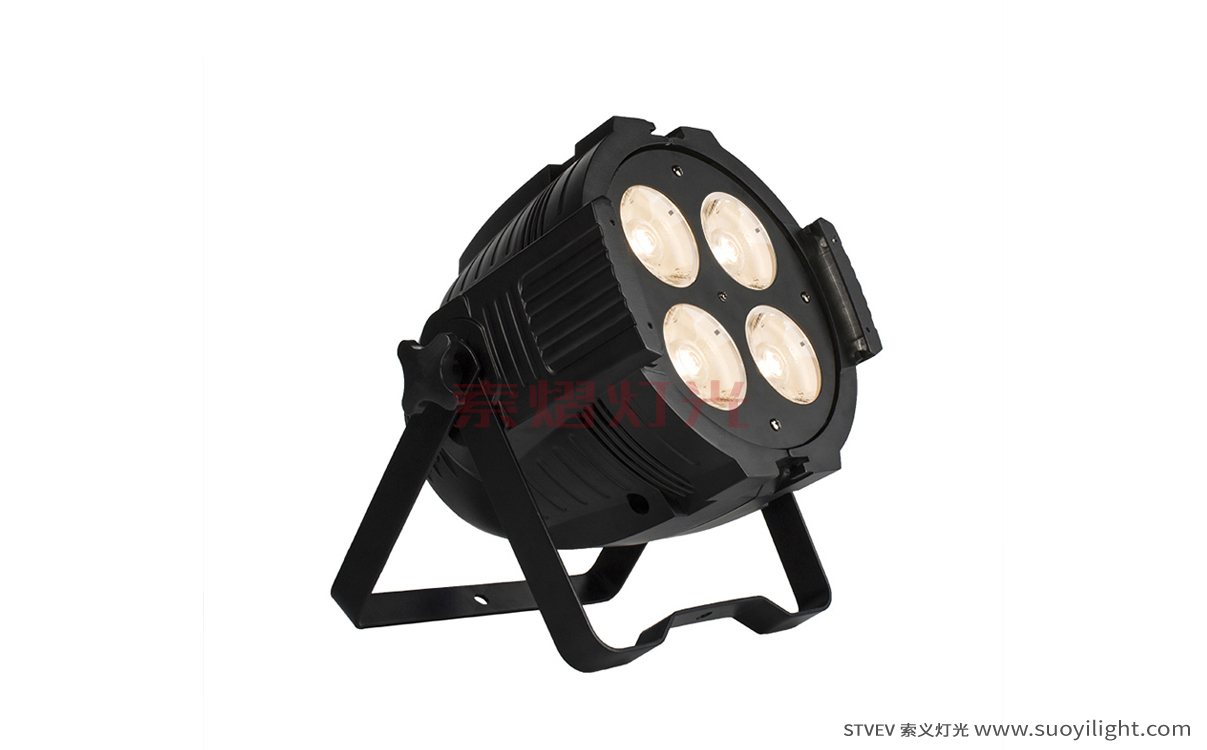Arusha4 Eyes 200W COB Par Light