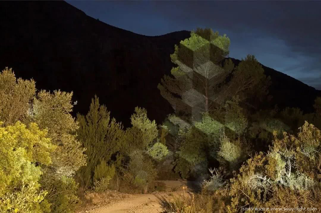 Arusha奥斯坦基诺公园亮化